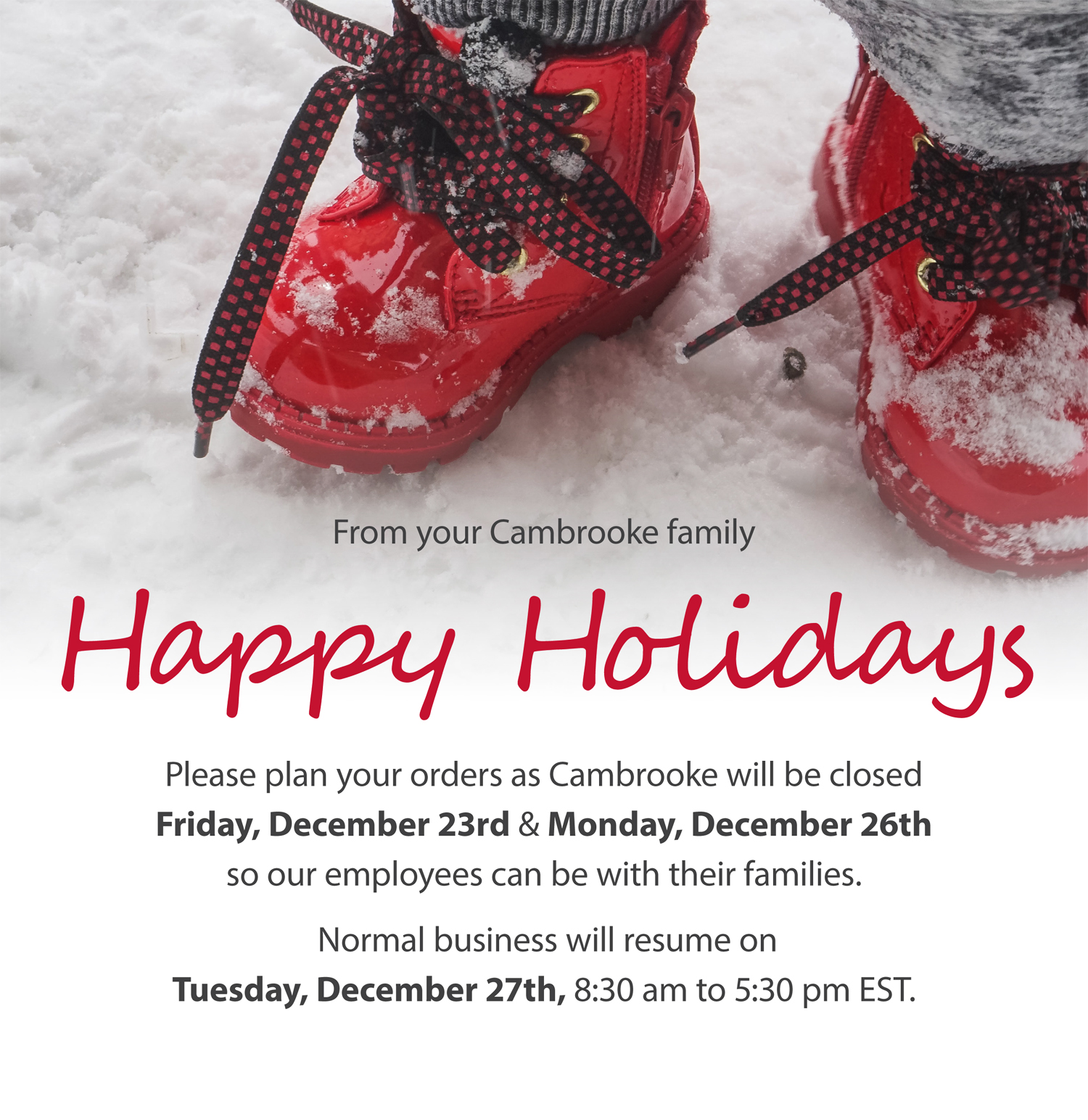 Holiday social post